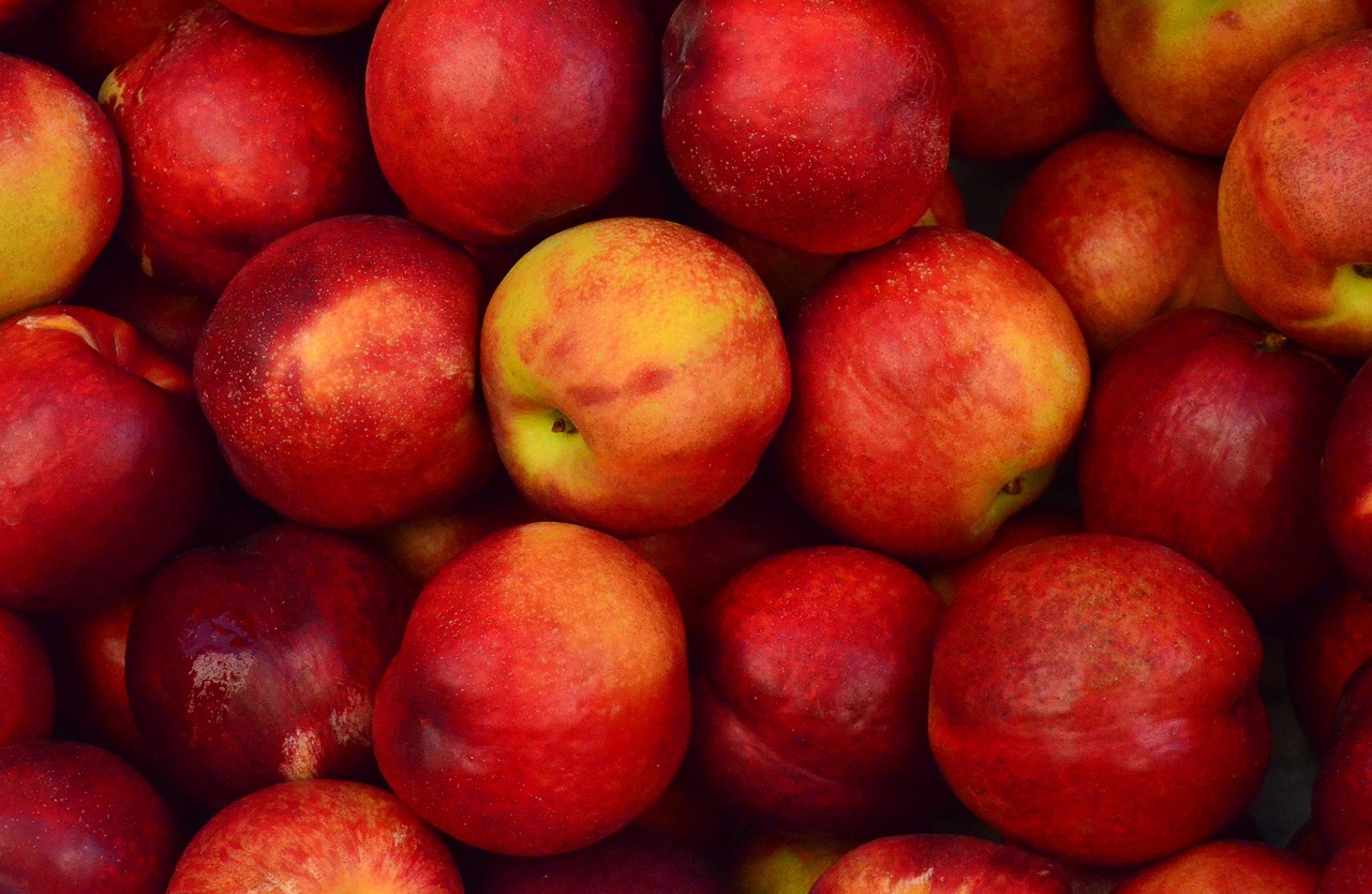 apples, close up, red-1867043.jpg